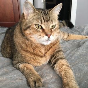 Meet your Posher, Sherry